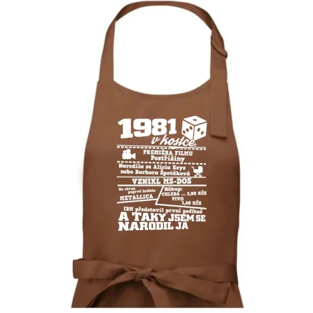 1981 v kostce