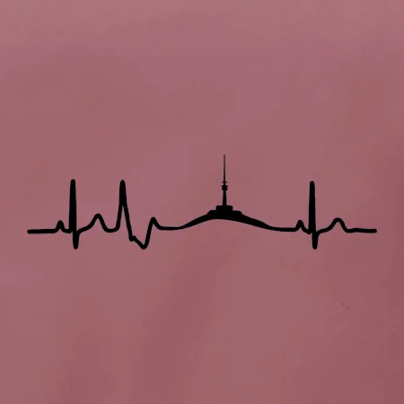 Ekg Jeseníky