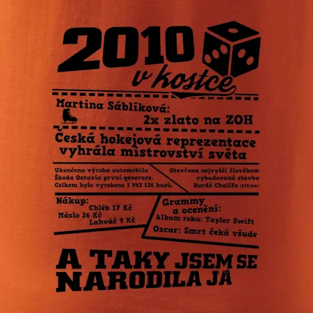 2010 v kostce