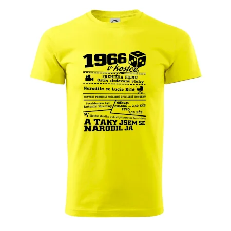 1966 v kostce