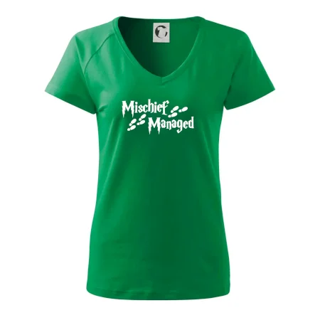Harry - Mischief Managed