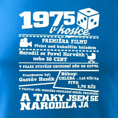 1975 v kostce