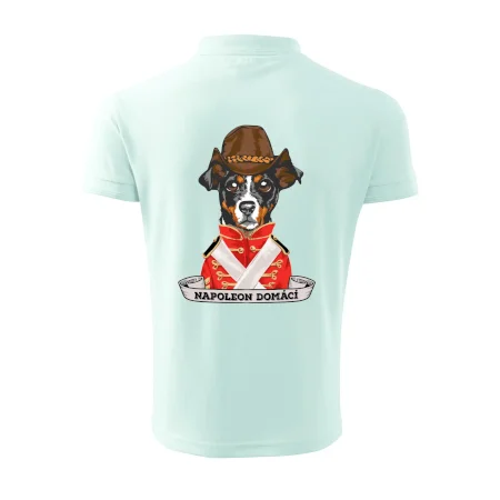 Napoleon domácí pes kříženec