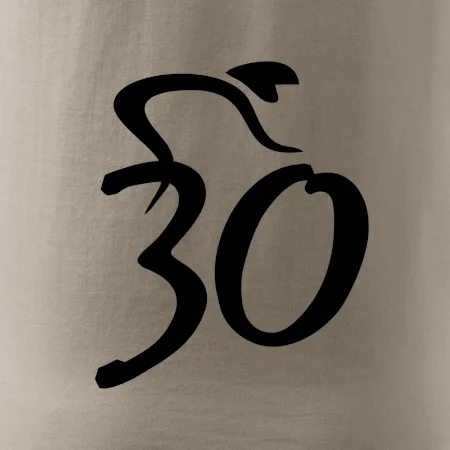 Cyklista slaví třicítku (30)