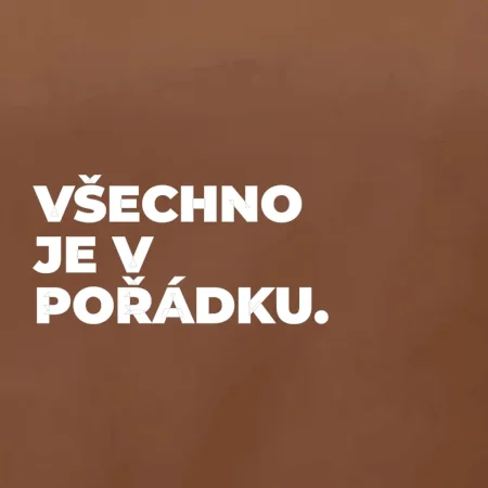 VŠECHNO JE V POŘÁDKU.