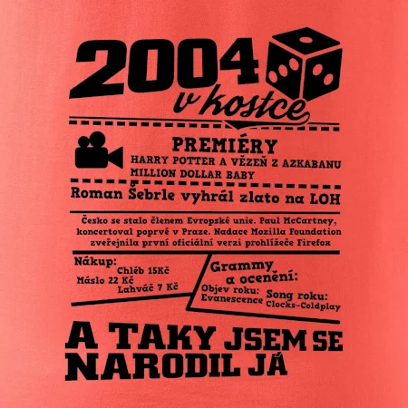 2004 v kostce