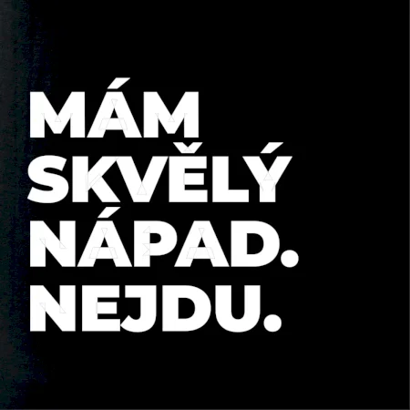 MÁM SKVĚLÝ NÁPAD. NEJDU.