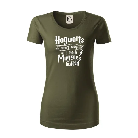 Harry - Hogwarts wasn’t hiring, so I teach Muggles instead