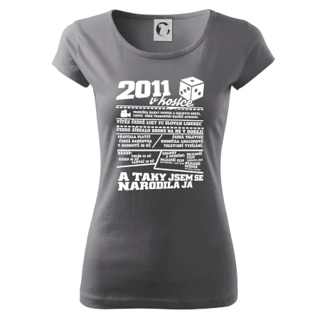 2011 v kostce