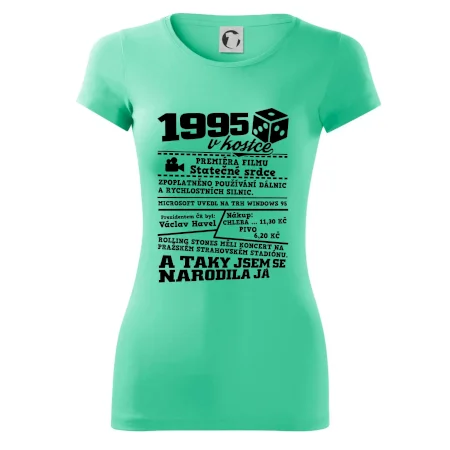 1995 v kostce