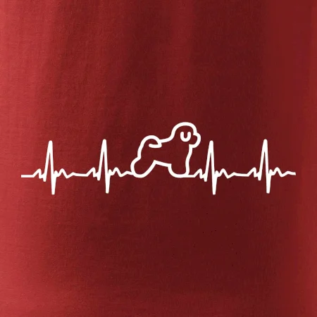 Bišonek ekg