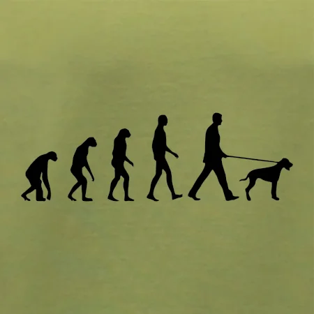 Evoluce pes ohař
