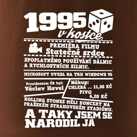 1995 v kostce