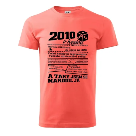 2010 v kostce