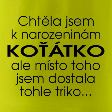 Chtěla jsem dostat k narozeninám koťátko