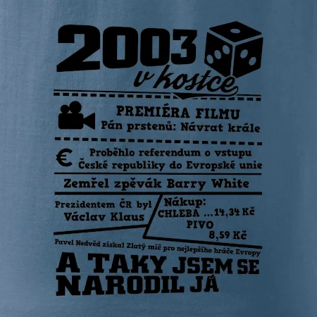 2003 v kostce