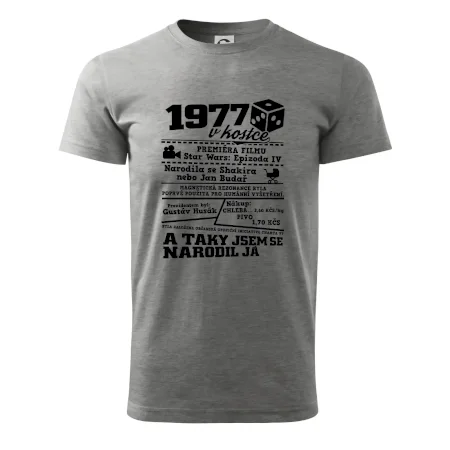 1977 v kostce