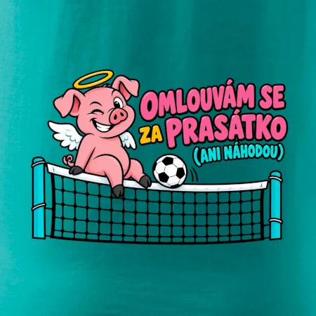 Nohejbalové prasátko na síti