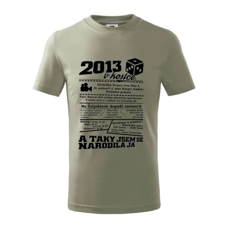 2013 v kostce