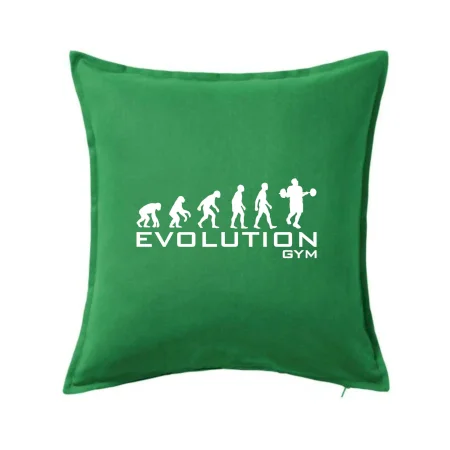 Evoluce Gym