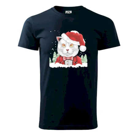 Santa kocour