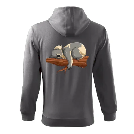 Koala na větvi