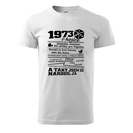 1973 v kostce