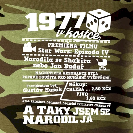 1977 v kostce