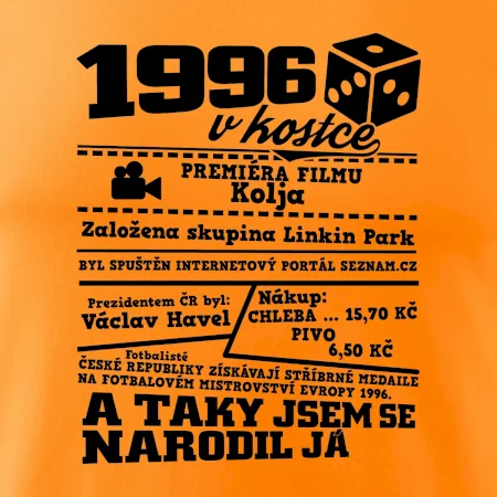 1996 v kostce