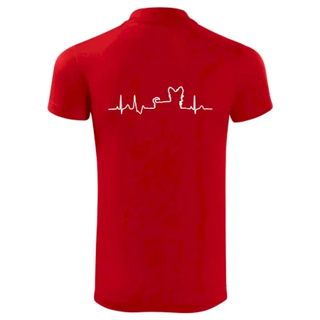 Jorkšírský teriér EKG