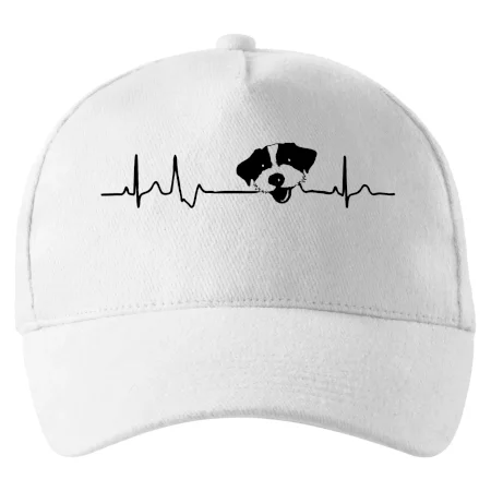 Jack Russell Terriér hrubosrstý Ekg
