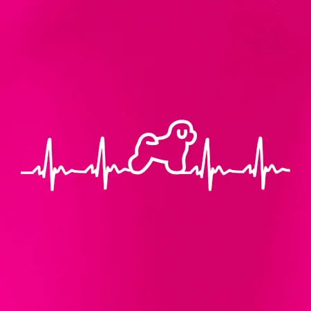 Bišonek ekg