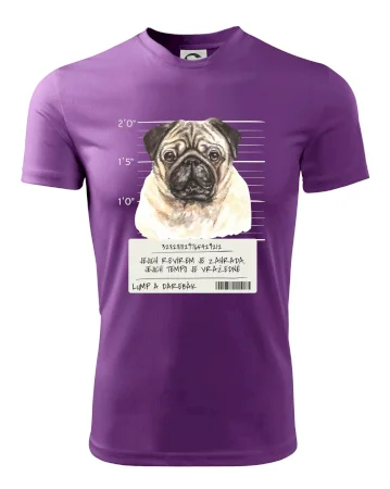 Lump a darebák mopsík