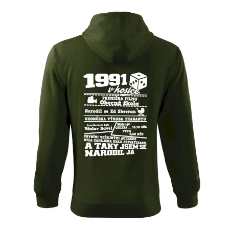 1991 v kostce