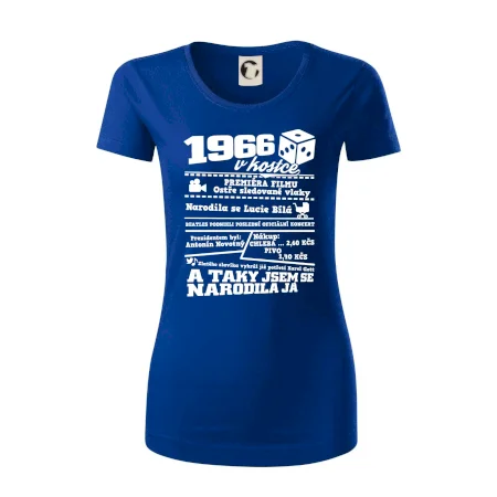 1966 v kostce
