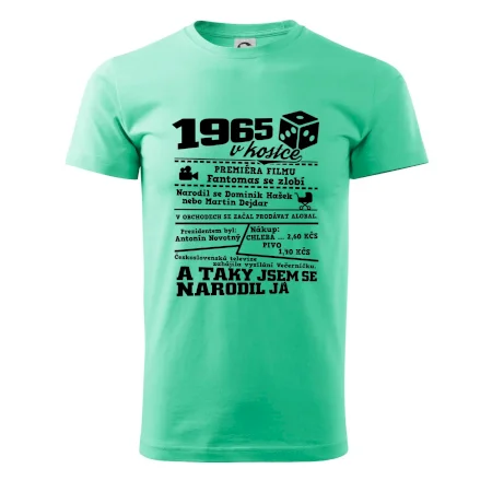 1965 v kostce