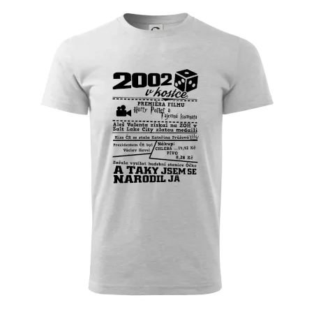 2002 v kostce