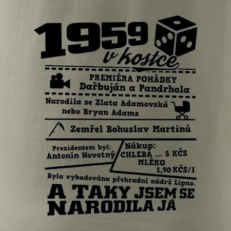 1959 v kostce