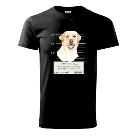 Lump a darebák labrador