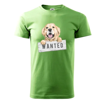 Zlatý retriever - štěně wanted