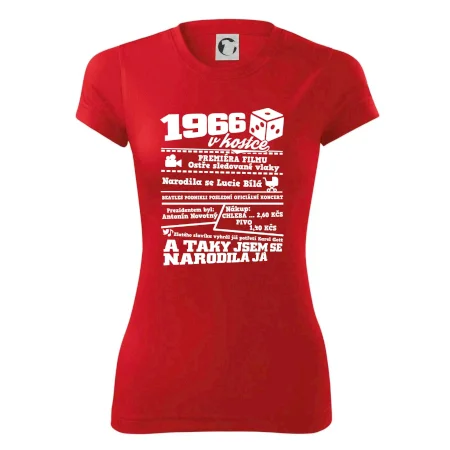 1966 v kostce