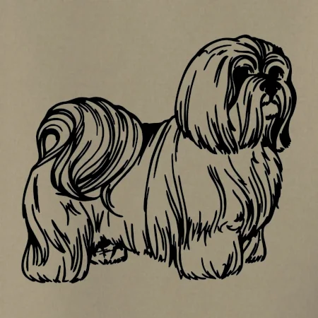 Shih-tzu - chlupatý