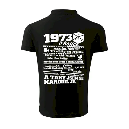 1973 v kostce