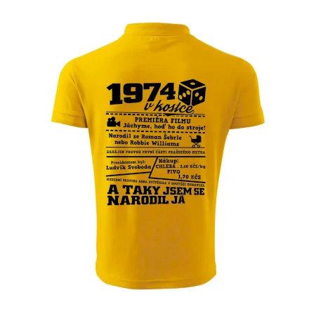 1974 v kostce