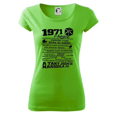 1971 v kostce