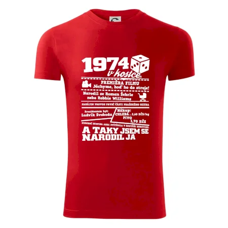 1974 v kostce