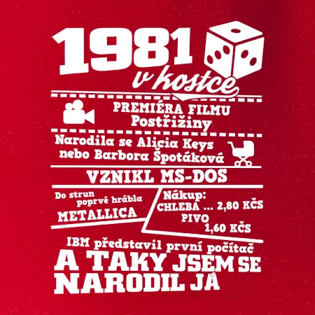 1981 v kostce