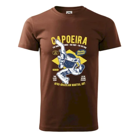 Capoeira  Afro-brazil art