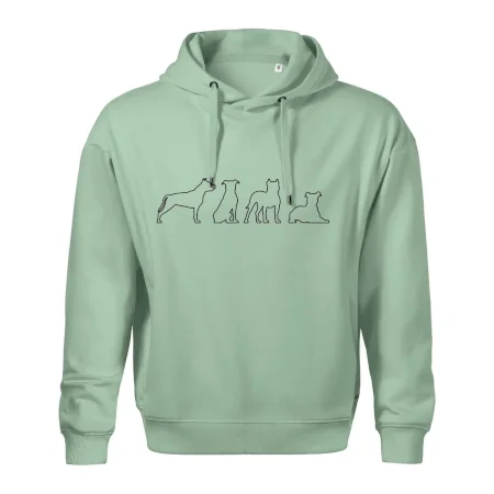 Americký stafordširský teriér v různých pozicích