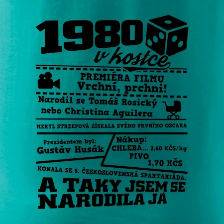 1980 v kostce